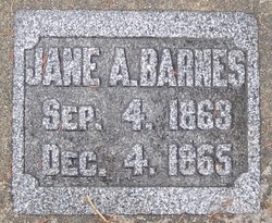 Jane Ann Barnes 