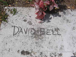 David Bell 