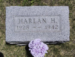 Harlan H Hammans 