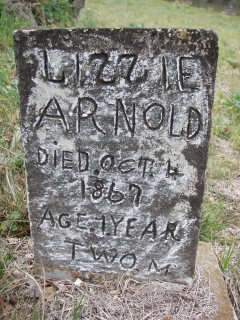 Lizzie Arnold 
