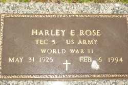 Harley Everett Rose 