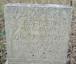 George Harrison Haddock 
