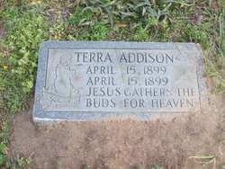 Terra Addison 