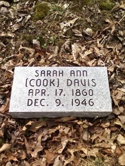 Sarah Ann <I>Cook</I> Davis 