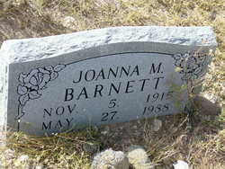 Joanna M Barnett 