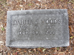 Dahlia <I>Stewart</I> Woods 