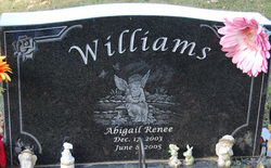 Abigail Renee Williams 