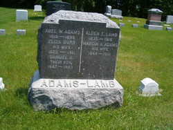 Abel White Adams 