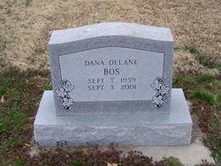 Dana Delane Bos 