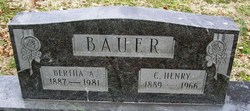 Christopher Henry Bauer 
