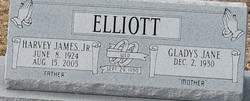 Harvey James Elliott Jr.