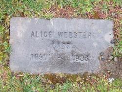 Alice Ellen “Allie” <I>Webster</I> Cass 