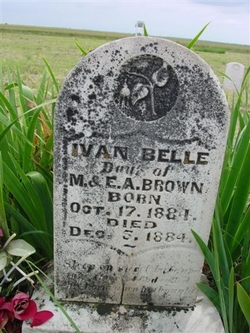 Ivan Belle Brown 