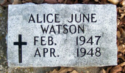 Alice June Watson 