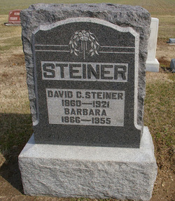 David C Steiner 