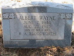 Albert Wayne Bloodworth 