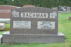 Edward Aaron Bachman 