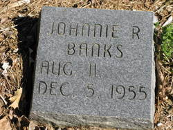 Johnnie R. Banks 