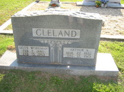 Olive Jane <I>Workman</I> Cleland 
