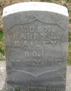 Harry L Bailey 