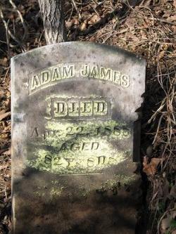 Adam James 