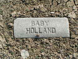 Baby Holland 