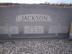 J. B. Jackson 