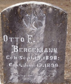 Otto F Bergemann Jr.
