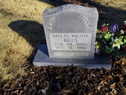 Dallas Wilton Bills 