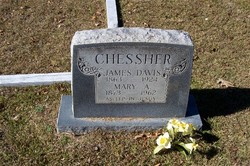 James Davis Chessher 