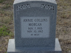 Annie <I>Collins</I> Morgan 