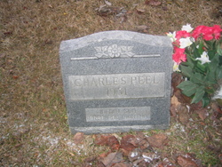 Charles Peel 