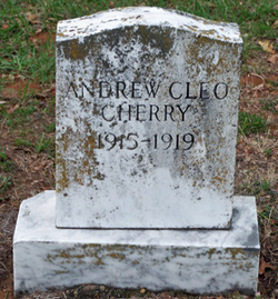 Andrew Cleo Cherry Jr.
