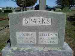 Joshua Sparks 