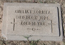 Amelia E. Corriea 