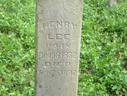 Henry Andrew Lee 