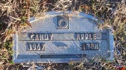 Candy Apple 