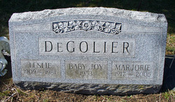 Joy DeGolier 