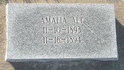 Amalia Alt 