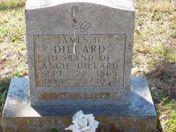 James Henry Dillard 