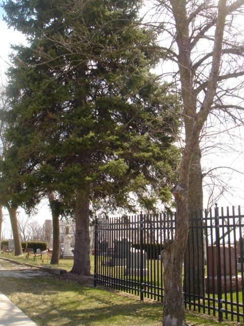 Saint John Evangelical Lutheran Church Cemetery