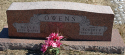 Robert Perkins Owens 