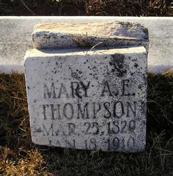 Mary Ann Elizabeth <I>Baskin</I> Thompson 