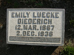 Emily Wilhelmine <I>Luecke</I> Diederich 