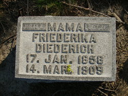 Friederika <I>Paul</I> Diederich 