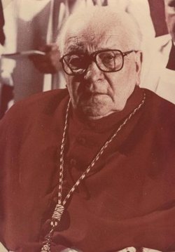 Cardinal Julijans Vaivods 