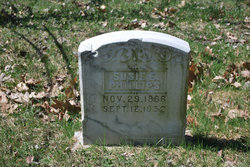 Susie E. <I>Douglass</I> Phillips 