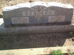Walter E Bradley 