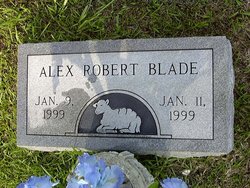 Alex Robert Blade 