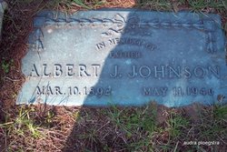 Albert John Johnson Sr.